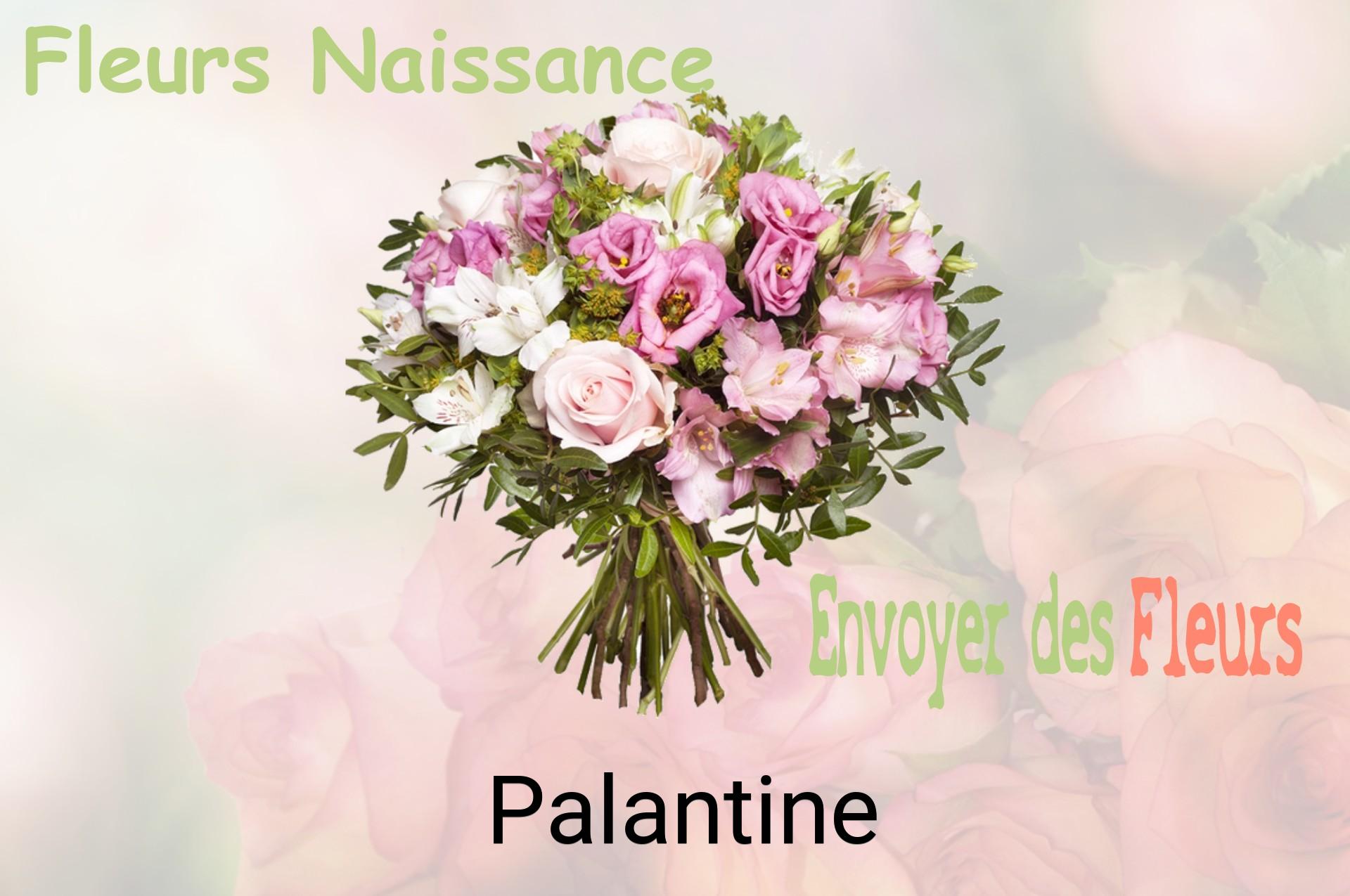 Bouquet de fleurs de naissance livré à Palantine
